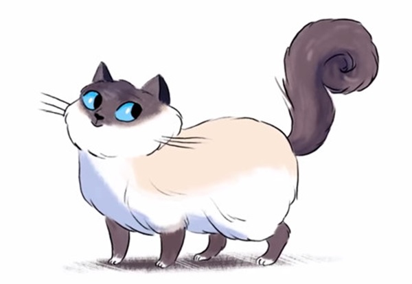 3 con giáp nữ càng dịu dàng càng giàu có, cuộc sống hạnh phúc viên mãn vẹn tròn-1