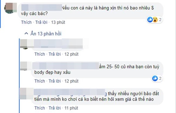 Chồng nhậu gọi đến 5 lần không về, vợ lẳng lặng dùng chiêu độc có giá vài chục triệu khiến chồng sợ xanh mặt-2