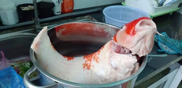 Chồng nhậu gọi đến 5 lần không về, vợ lẳng lặng dùng chiêu độc có giá vài chục triệu khiến chồng sợ xanh mặt-4