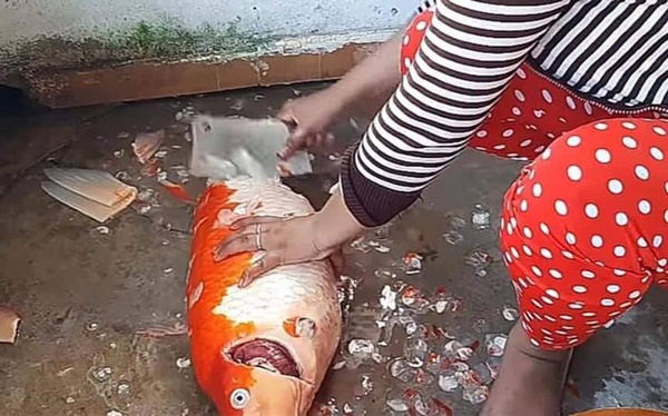 Chồng nhậu gọi đến 5 lần không về, vợ lẳng lặng dùng chiêu độc có giá vài chục triệu khiến chồng sợ xanh mặt-5