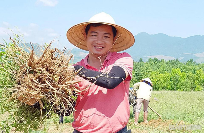 Loài sâm tưởng tuyệt chủng bỗng hồi sinh thần kỳ, dân đút túi tiền tỷ/năm-14