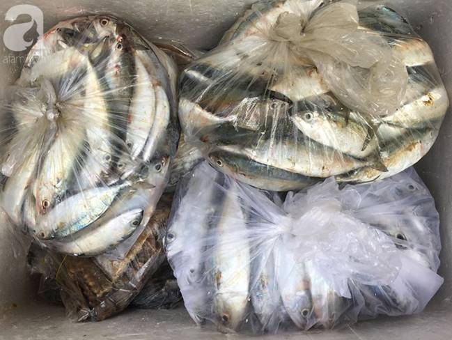 Mẹ Hà Nội chia sẻ 6 mẹo chọn cá biển cấp đông không hóa chất, tươi ngon như cá tươi-1