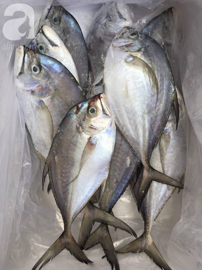 Mẹ Hà Nội chia sẻ 6 mẹo chọn cá biển cấp đông không hóa chất, tươi ngon như cá tươi-3