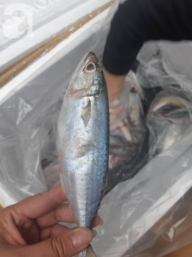 Mẹ Hà Nội chia sẻ 6 mẹo chọn cá biển cấp đông không hóa chất, tươi ngon như cá tươi-4