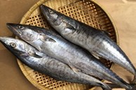 Mẹ Hà Nội chia sẻ 6 mẹo chọn cá biển cấp đông không hóa chất, tươi ngon như cá tươi