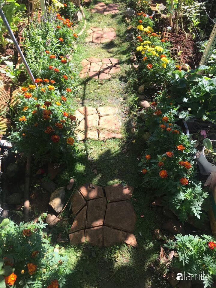 Vườn rau quả tốt tươi đủ loại giúp cả nhà quanh năm được thưởng thức đồ sạch ở Lâm Đồng-8