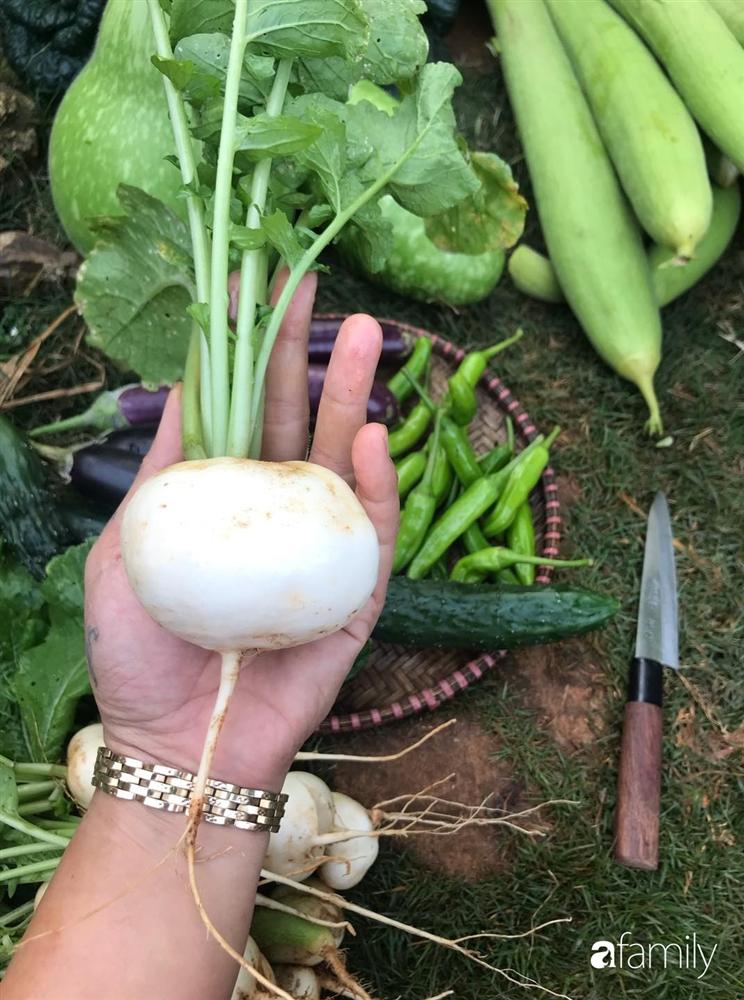 Vườn rau quả tốt tươi đủ loại giúp cả nhà quanh năm được thưởng thức đồ sạch ở Lâm Đồng-17