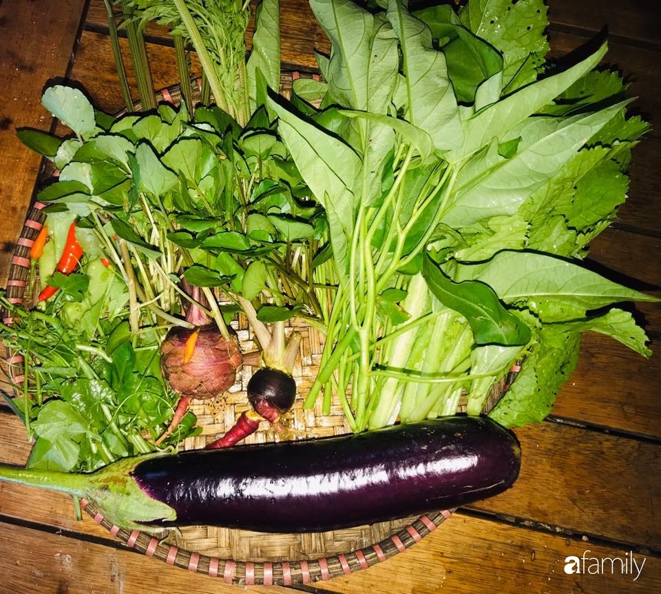 Vườn rau quả tốt tươi đủ loại giúp cả nhà quanh năm được thưởng thức đồ sạch ở Lâm Đồng-32