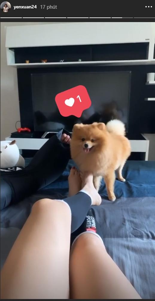 Thứ 7 thảnh thơi của Yến Xuân - Văn Lâm: Sáng cùng nhau đi chơi rồi về nhà nằm dài tận hưởng cùng cún cưng-1