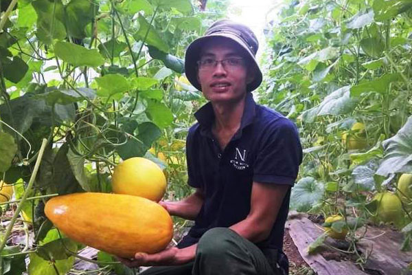 Bỏ lương 8 triệu về trồng dâu tây, soái ca nhà người ta lãi nửa tỷ-8