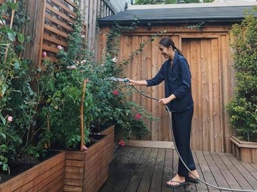 Ở bạch dinh triệu đô Tăng Thanh Hà vẫn tự trồng rau trái, thành quả được mùa sai lúc lỉu-5