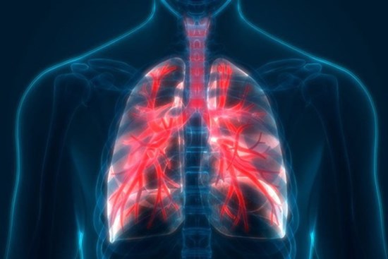 3 vùng trên cơ thể thải độc kém sẽ ngầm cho thấy tuổi thọ của bạn thấp