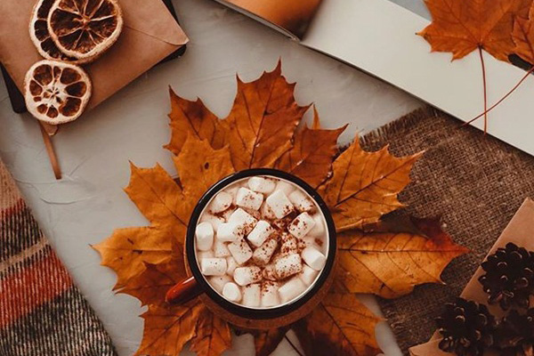 Những cung hoàng đạo sau càng béo càng nhiều phúc đức, tiền bạc đầy nhà vì giỏi giang, tháo vát-4