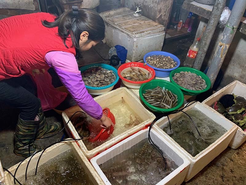Chiêu bán hàng mới, chị bán rau, bà buôn cá bình thản mùa dịch-1