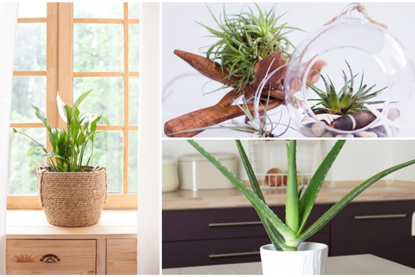 Cận cảnh không gian căn bếp thiết kế theo phong cách tân cổ điển trong biệt thự của gia đình Đăng Khôi-16