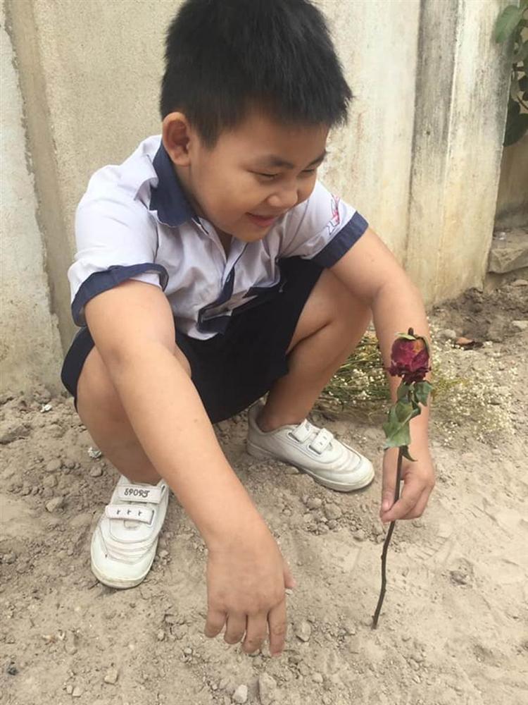 Cậu bé cấp 1 bẽn lẽn cầm bó hoa đứng bên bờ tường, biết câu chuyện ai nấy ôm bụng cười vì đáng yêu quá sức tưởng tượng-2