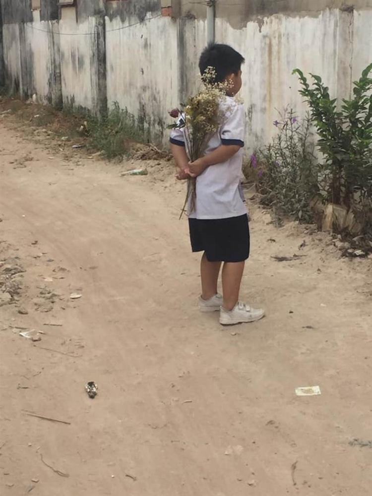 Cậu bé cấp 1 bẽn lẽn cầm bó hoa đứng bên bờ tường, biết câu chuyện ai nấy ôm bụng cười vì đáng yêu quá sức tưởng tượng-3