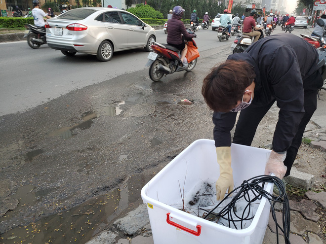 Chuyện hiếm thấy: Tôm hùm xanh xuống đường, giá chỉ còn 159.000 đồng/con-1