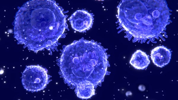 Đi tìm lời giải cho độc tính của virus corona: Khi nào chúng gây chết người, khi nào chỉ gây cúm?-5