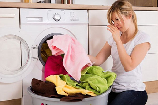 Cách trồng cây dâu tây trong chậu đảm bảo lớn nhanh, cho trái ăn quanh năm-2