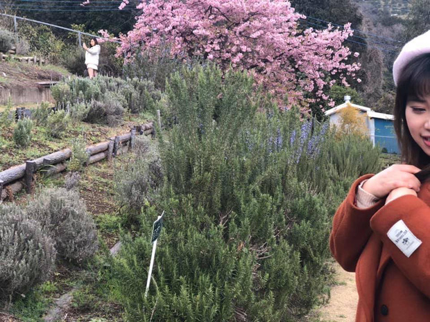 Có bồ chưa chắc đã sướng: Nhờ chụp ảnh kiểu gì cũng nghiêng bên nọ lệch bên kia, ngoài mặt mờ ra thì chỗ nào cũng nét-2