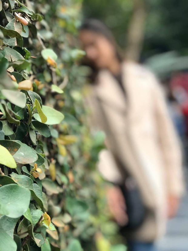 Có bồ chưa chắc đã sướng: Nhờ chụp ảnh kiểu gì cũng nghiêng bên nọ lệch bên kia, ngoài mặt mờ ra thì chỗ nào cũng nét-5