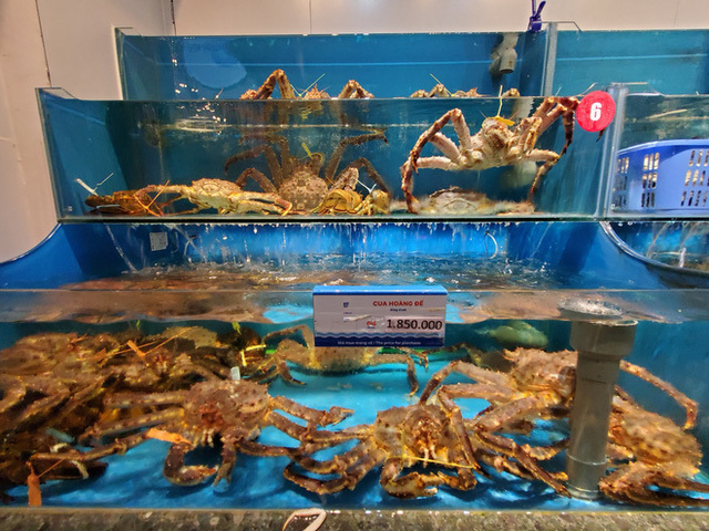 Sau tôm hùm, cua Hoàng đế ở Hà Nội giảm giá sốc-1