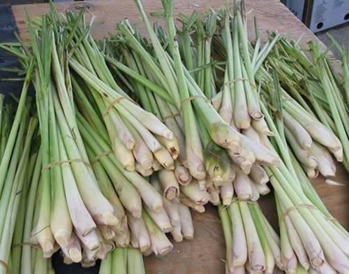 Đổ chút giấm vào nhà vệ sinh, 1 giờ đồng hồ sau điều kỳ diệu sẽ xảy ra-1