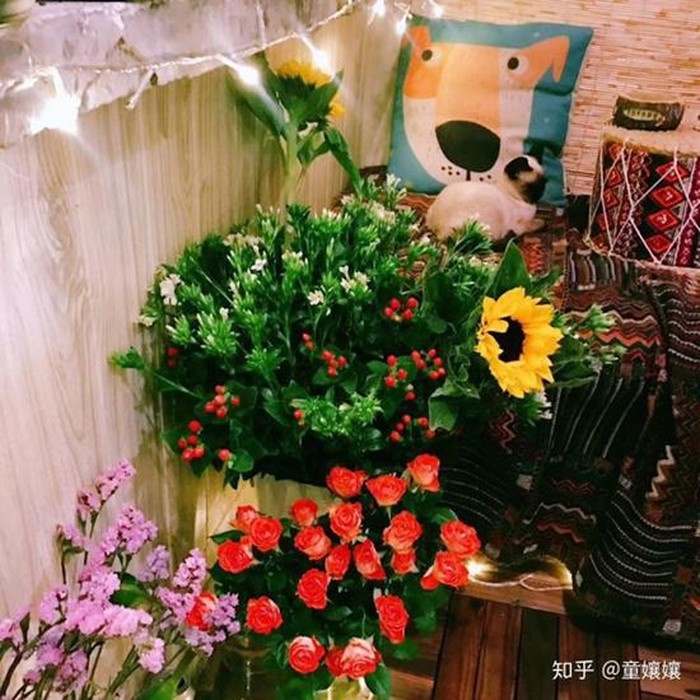 Vì bà bạn trai sắp lên thăm, cô gái lấy động lực biến ban công cũ thành góc sống ảo ai nhìn thấy cũng xin chụp ké-9