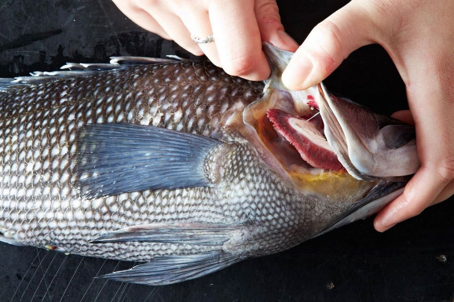 Distinguishing wild and farmed fish by just 1 point, avoiding trade traps-2
