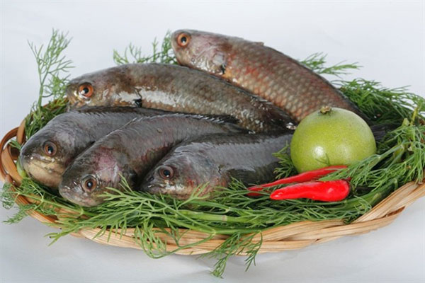 Cách làm sạch ấm siêu tốc trong nháy mắt bằng nguyên liệu lành tính-2