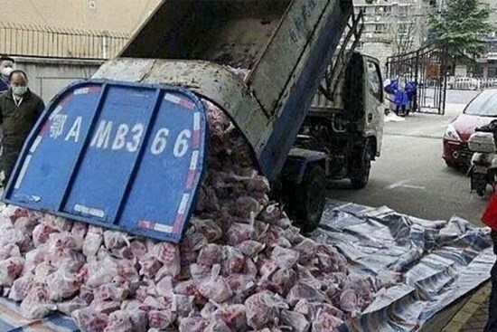 Quan chức Vũ Hán bị sa thải sau khi dùng xe rác chở thịt cho dân