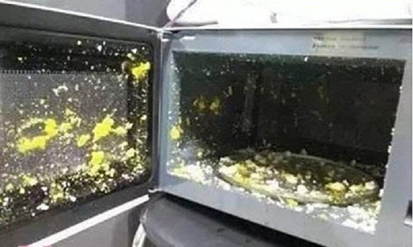 Cho quả trứng vào lò vi sóng, sai lầm tai hại nhiều nhà vẫn mắc-2