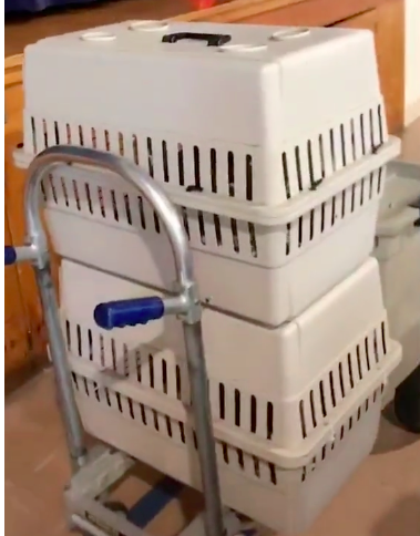 Người đàn ông bị nghi ngờ ngược đãi, nhốt con còn sơ sinh vào trong lồng thú đến khóc la nức nở, nhưng khi mở lồng kiểm tra thì không ai tin thứ khó tưởng này chính là nguyên nhân-1