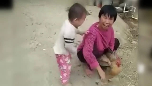 Bé trai 3 tuổi khóc nằng nặc không cho làm thịt gà, ai cũng bật cười vì bà đã trói chặt gà trong tay nhưng đành chịu thua cháu-1