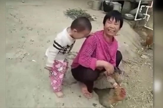Bé trai 3 tuổi khóc nằng nặc không cho làm thịt gà, ai cũng bật cười vì bà đã trói chặt gà trong tay nhưng đành chịu thua cháu