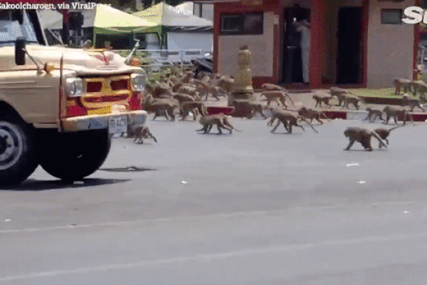 Bài học đắt giá từ châu Á khi vội mở cửa lại giữa dịch-6