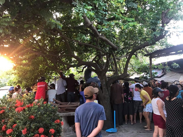 Đà Nẵng: Nghe đồn có án mạng giữa dịch Covid-19, cả trăm người vẫn kéo đến xem-1