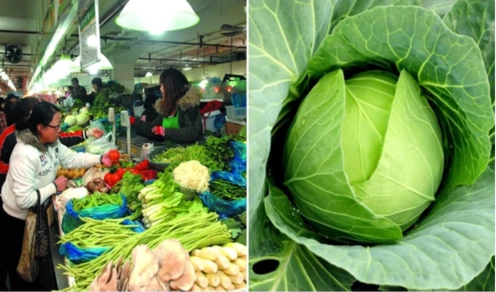 Dấu hiệu cà chua bắp cải chứa nhiều phân đạm ảnh hưởng đến sức khỏe, chị em nên cẩn trọng-1