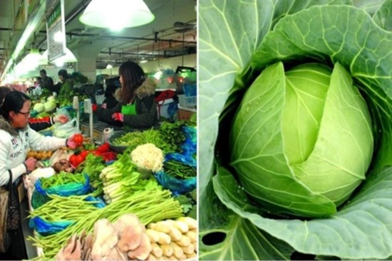 Dấu hiệu cà chua bắp cải chứa nhiều phân đạm ảnh hưởng đến sức khỏe, chị em nên cẩn trọng