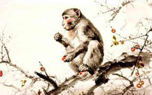 Điểm danh 3 con giáp có đầu óc kinh doanh, làm đâu thắng đó, tư duy nhạy bén, cuộc sống đầy đủ sung túc-2