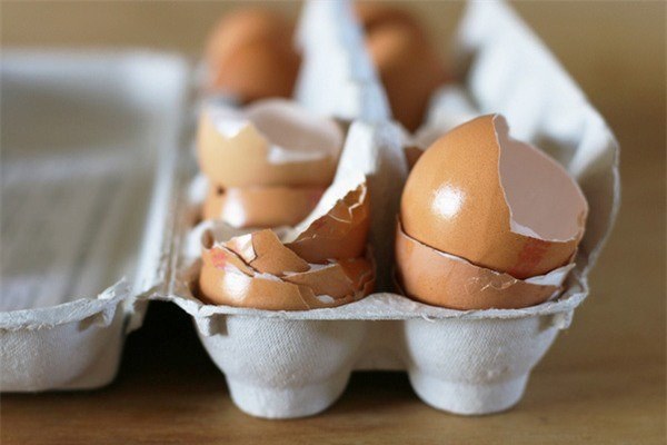 Mang vỏ trứng ra vườn rắc, 2 tuần sau cây xanh tươi mơn mởn bất ngờ-4