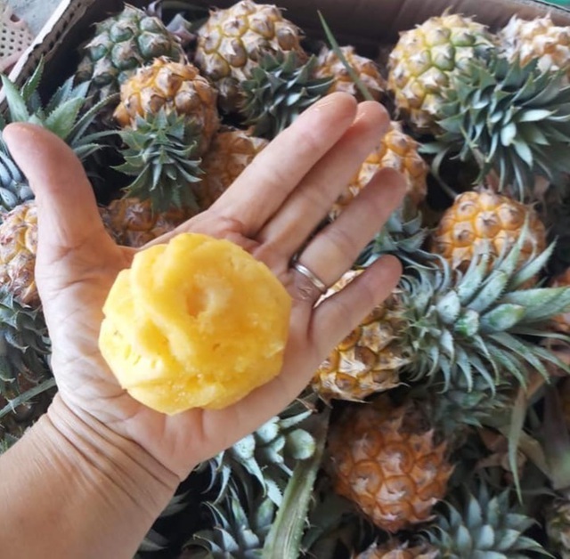 Dân sành ăn đổ xô mua dứa mini Thái giá cao-1