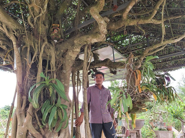 Siêu cây mái đình làng cổ độc nhất Bắc Bộ-12