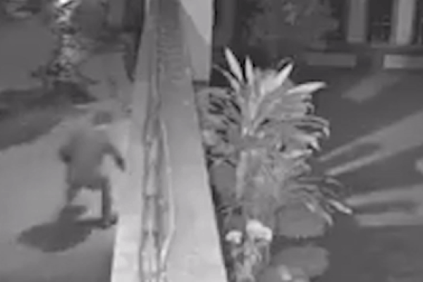 Nam thanh niên trổ tài trộm chó khiến dân mạng ngỡ ngàng-1