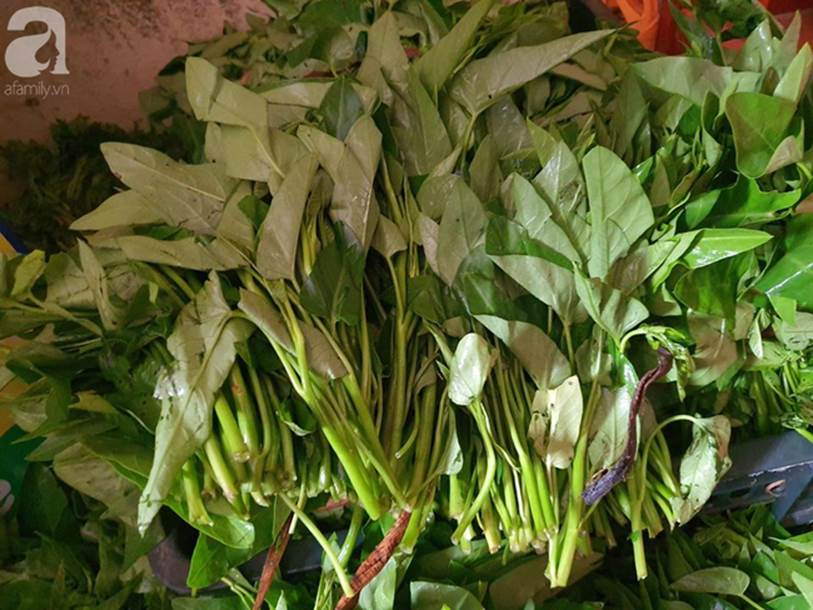 Gia đình 5 người sống cách trung tâm Hà Nội 20km mà mỗi tháng chi tiêu thoải mái chỉ hết 5 triệu, để dành được 15 triệu đồng-3