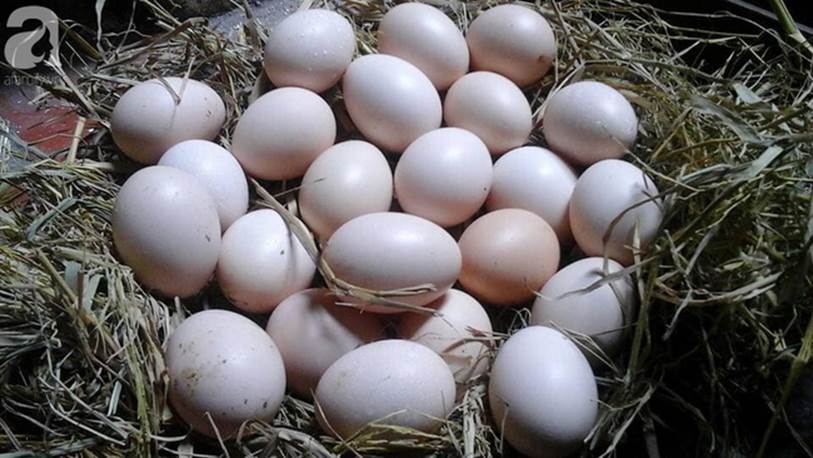 Gia đình 5 người sống cách trung tâm Hà Nội 20km mà mỗi tháng chi tiêu thoải mái chỉ hết 5 triệu, để dành được 15 triệu đồng-7