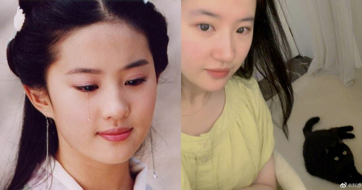 Mỹ nhân Hoa ngữ sau 12 năm da vẫn đẹp: Châu Tấn đi ngủ không bật điều hòa, Triệu Vy đi đâu cũng kè kè Vaseline-9