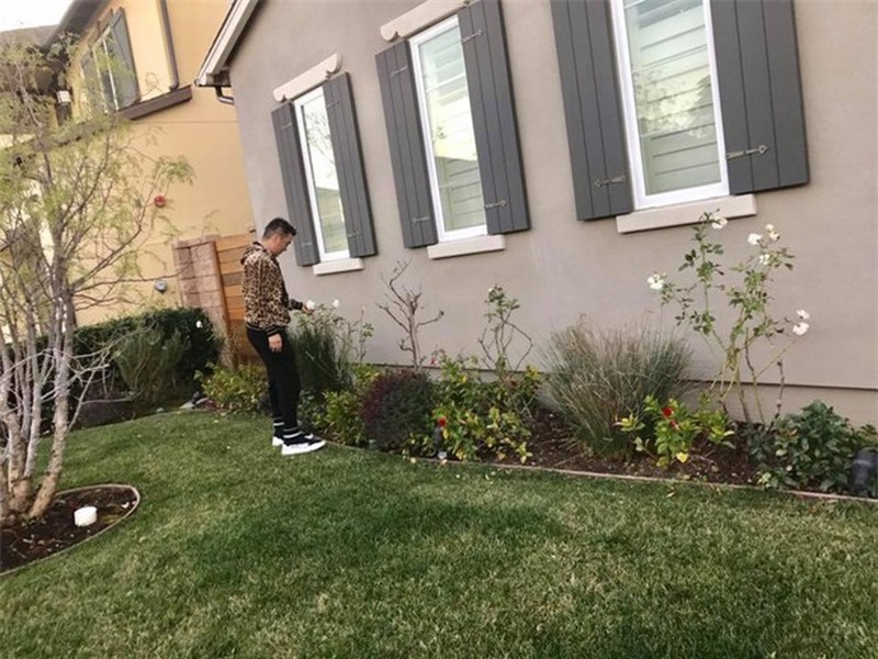 Ngắm biệt thự khủng của Đàm Vĩnh Hưng bên Mỹ, bất ngờ điểm đặc biệt-3