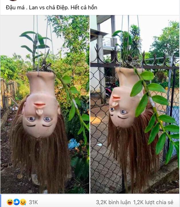 Hình ảnh chậu lan được gia chủ treo ngay cạnh vườn khiến ai nhìn vào cũng chực... rớt tim-1